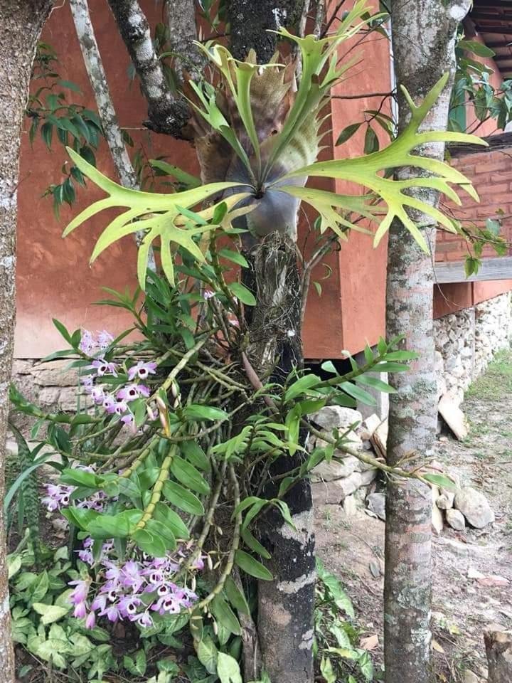 Pousada Buieie Lavras Novas Exterior foto